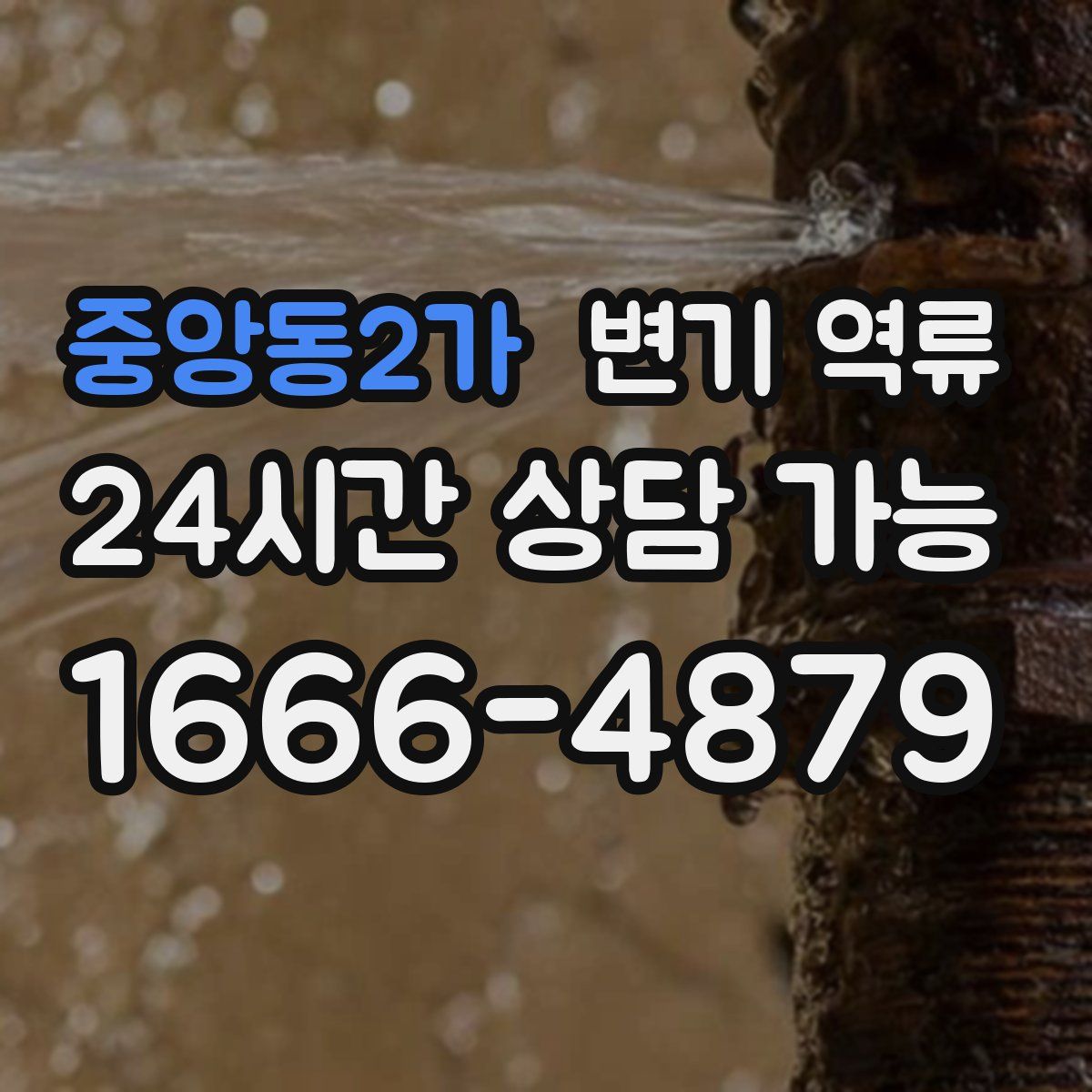 중앙동2가 변기 역류