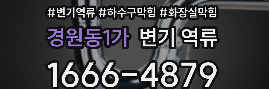 경원동1가 변기 역류