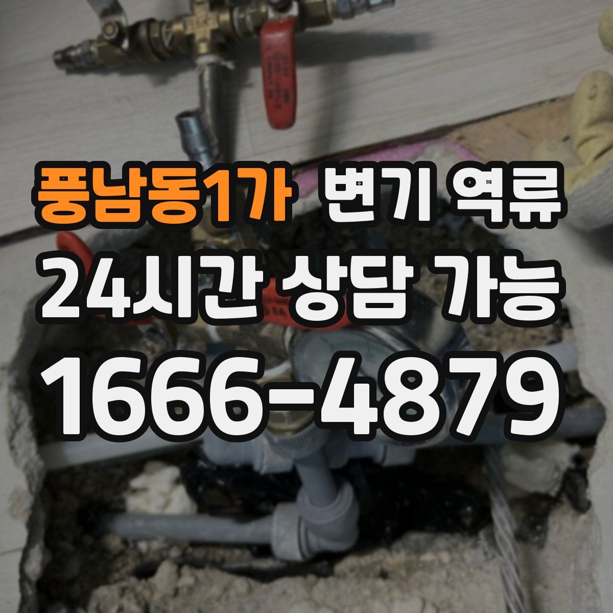풍남동1가 변기 역류