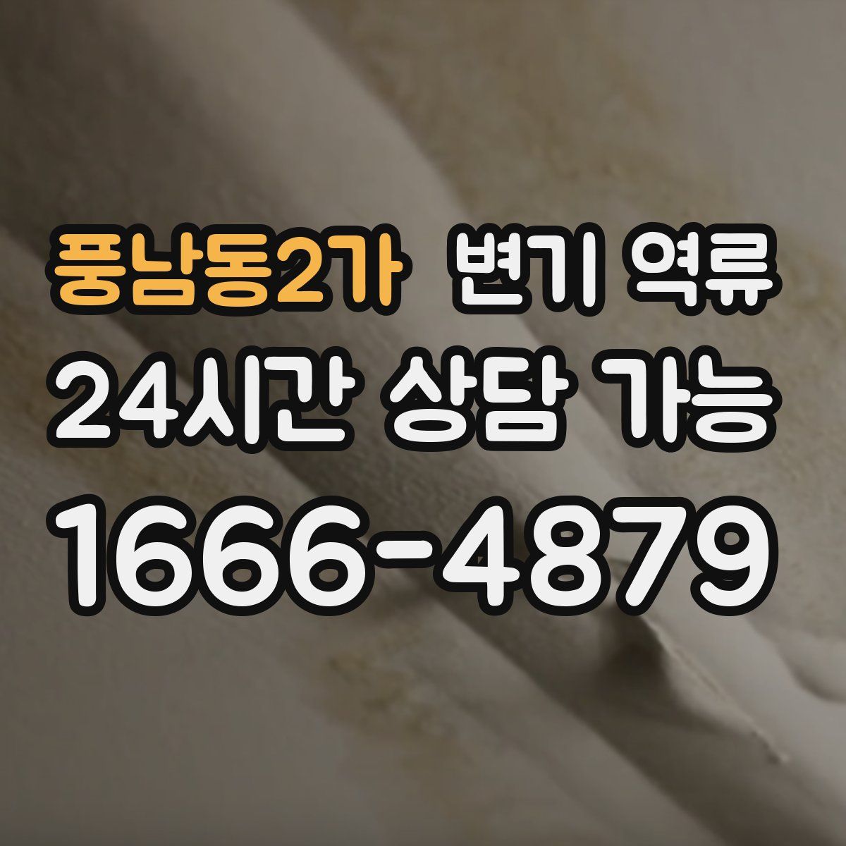 풍남동2가 변기 역류