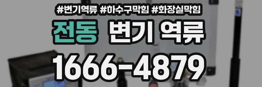 전동 변기 역류