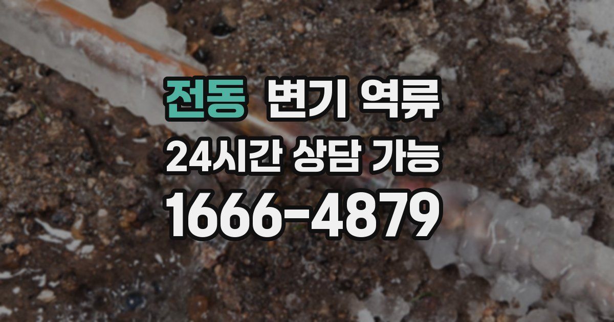 전동 변기 역류