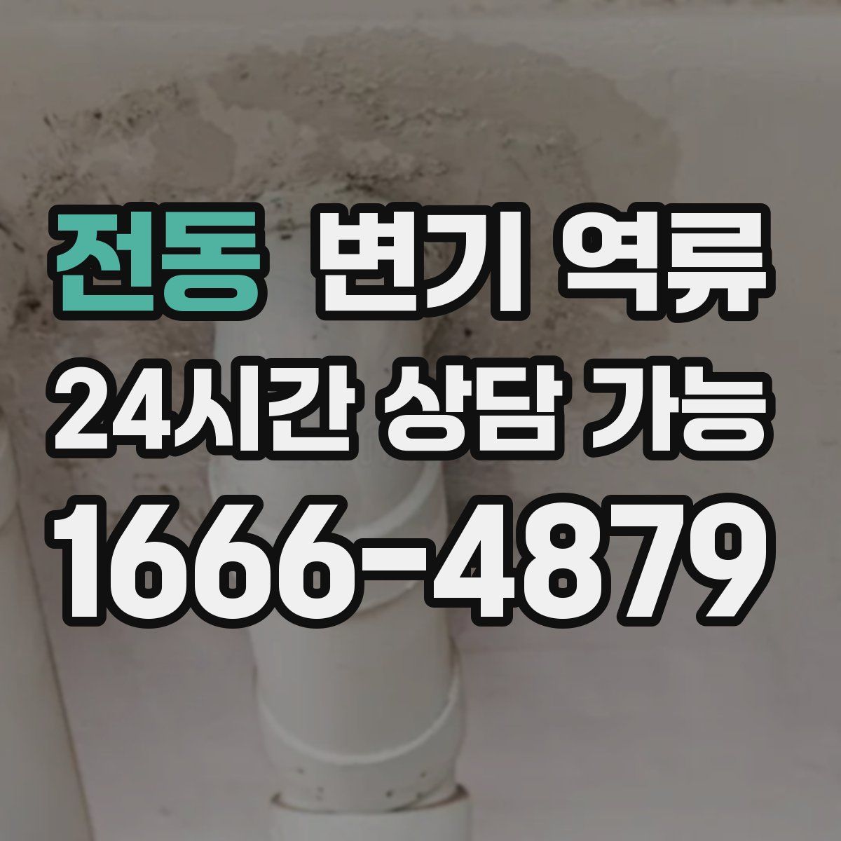 전동 변기 역류