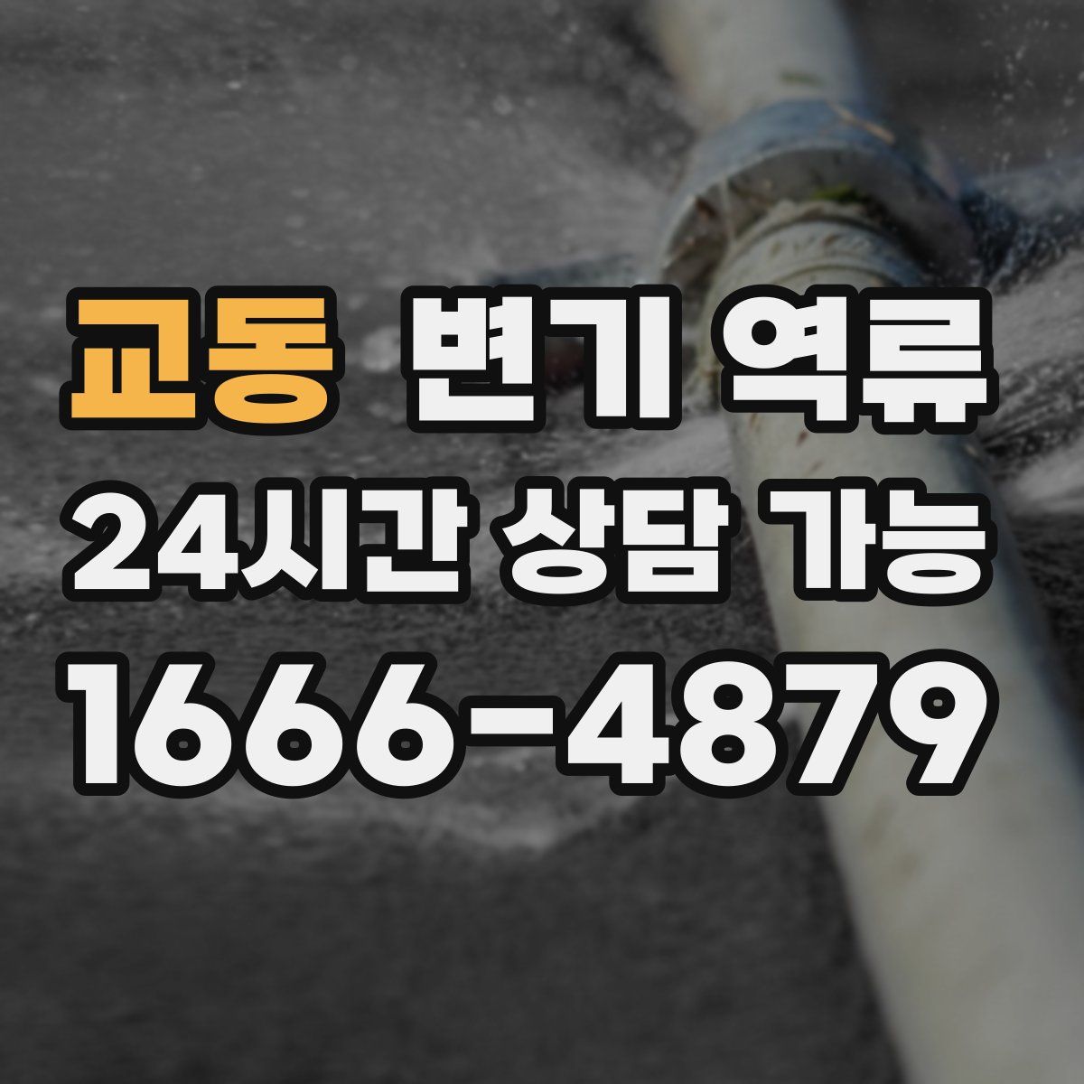 교동 변기 역류