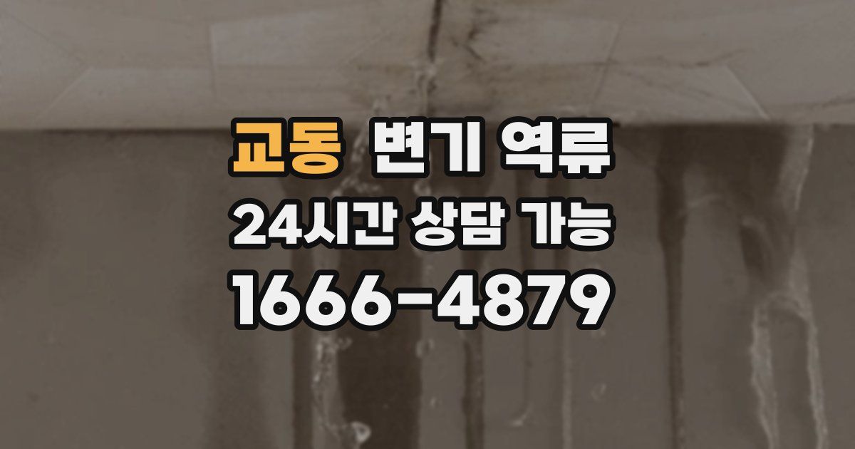 교동 변기 역류