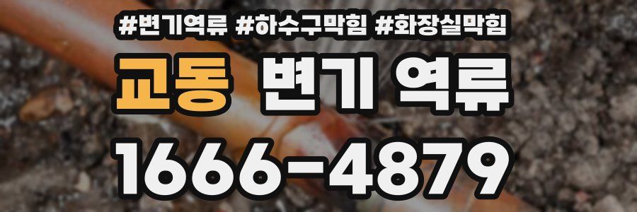 교동 변기 역류