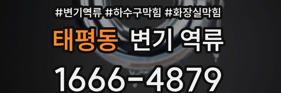 태평동 변기 역류