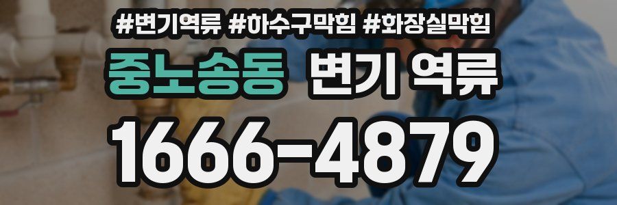 중노송동 변기 역류