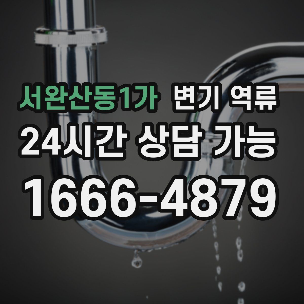 서완산동1가 변기 역류