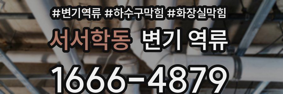 서서학동 변기 역류