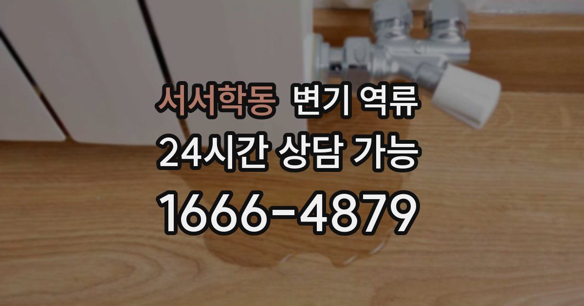 서서학동 변기 역류