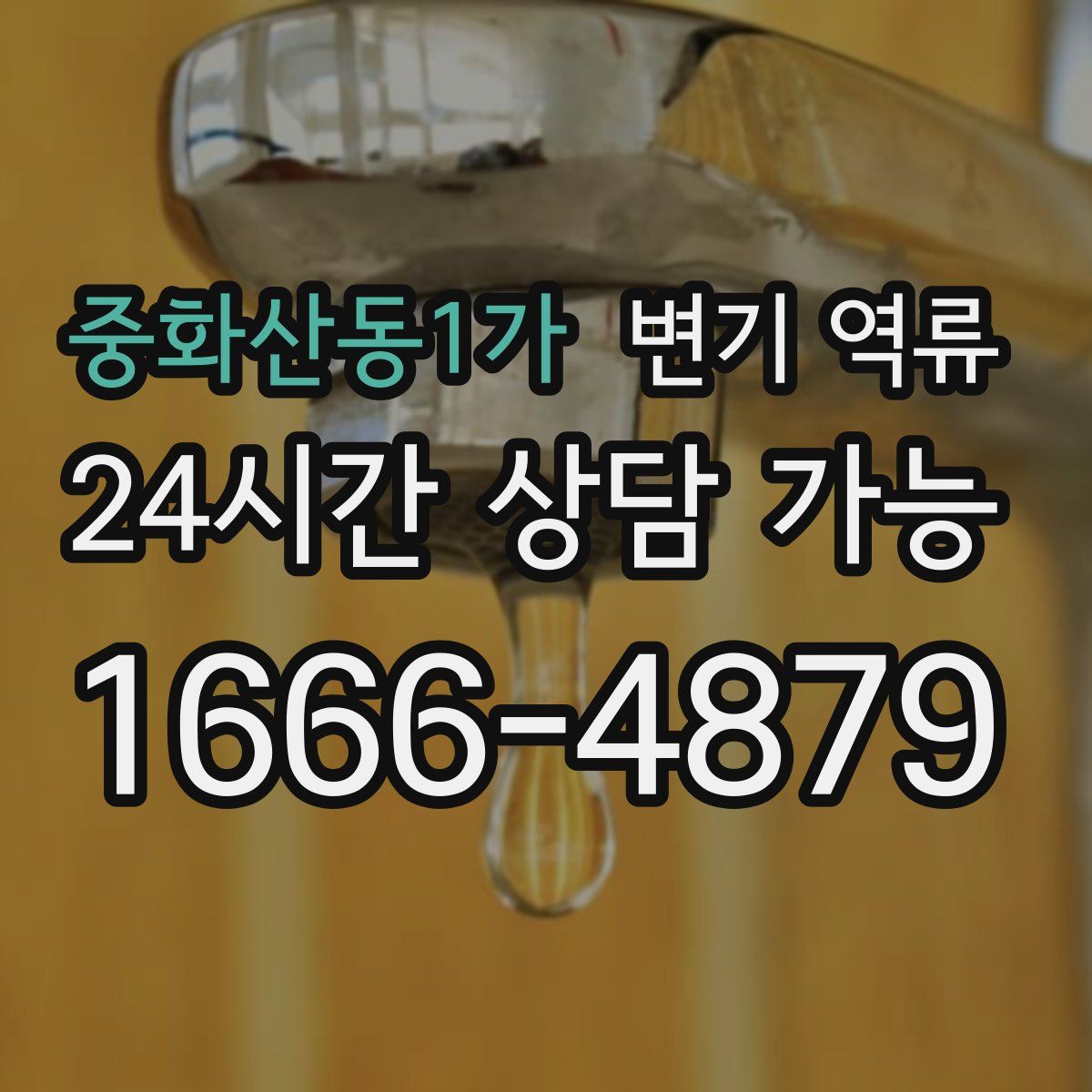 중화산동1가 변기 역류