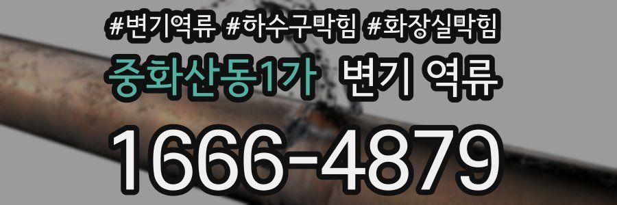 중화산동1가 변기 역류