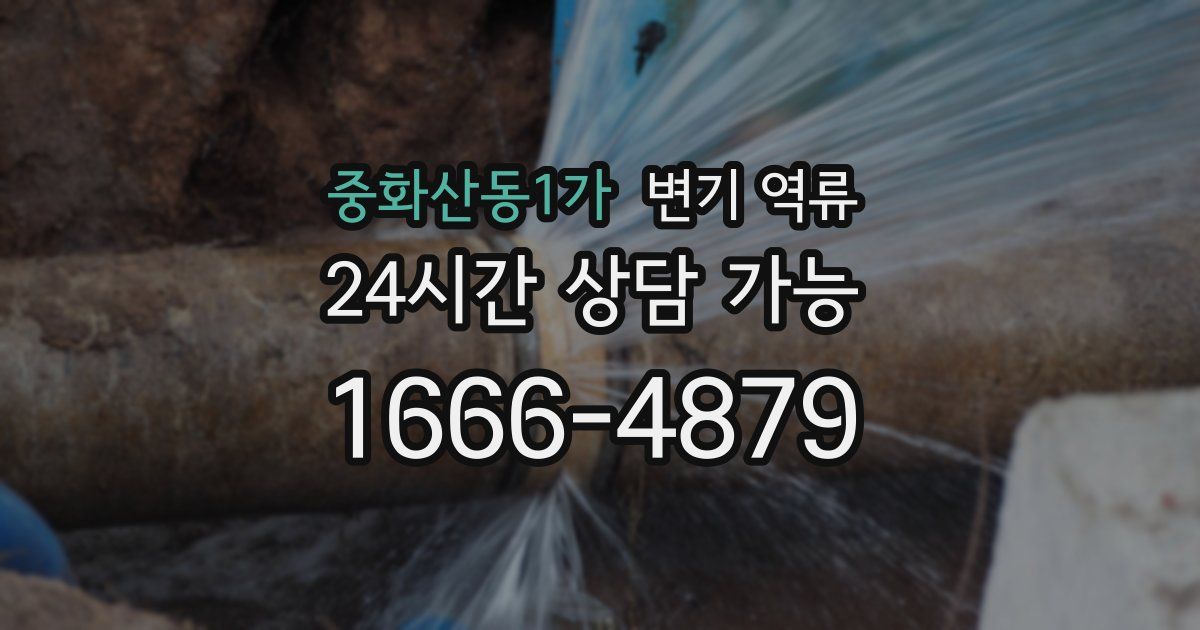 중화산동1가 변기 역류