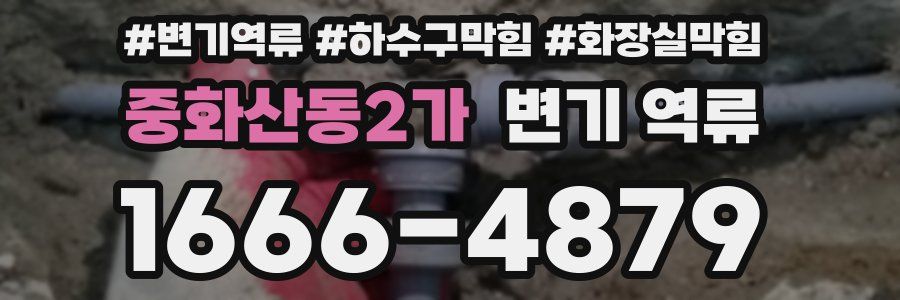 중화산동2가 변기 역류