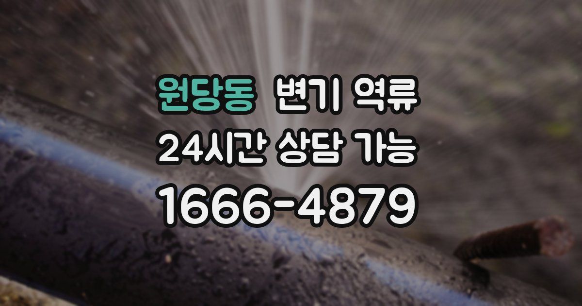 원당동 변기 역류