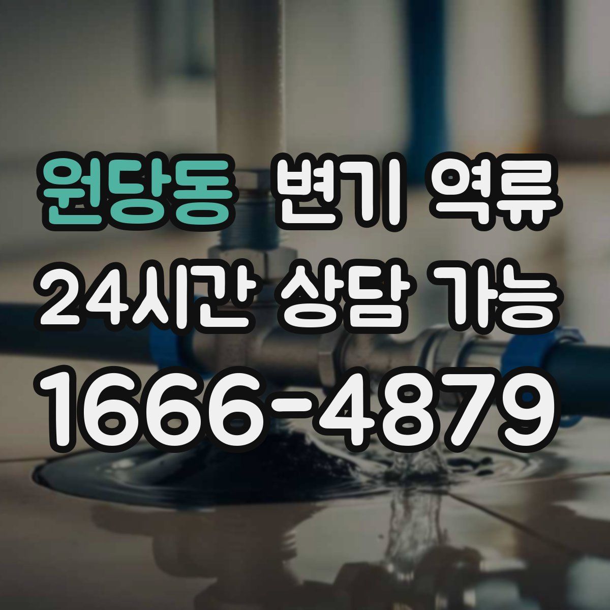 원당동 변기 역류