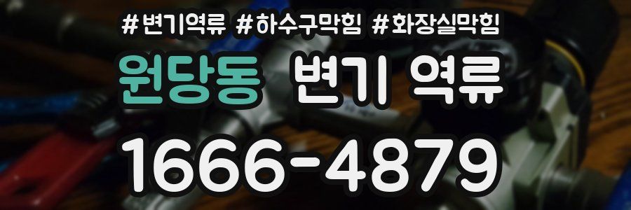 원당동 변기 역류