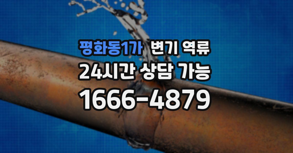 평화동1가 변기 역류