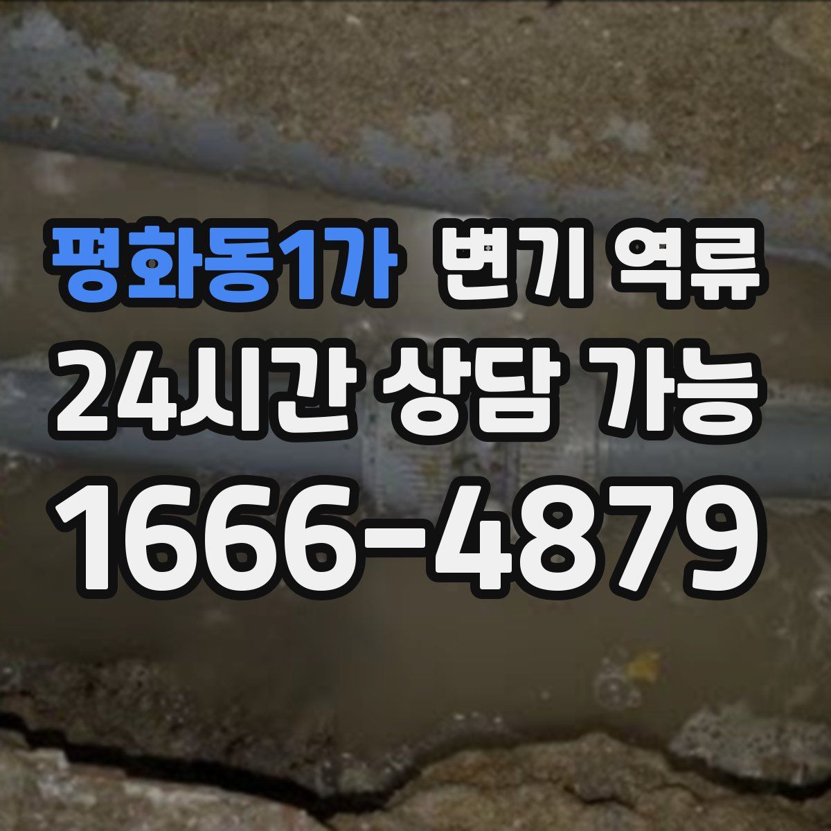 평화동1가 변기 역류