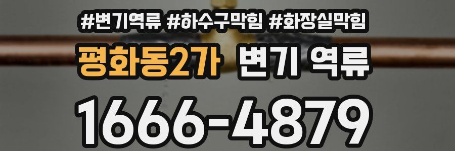 평화동2가 변기 역류