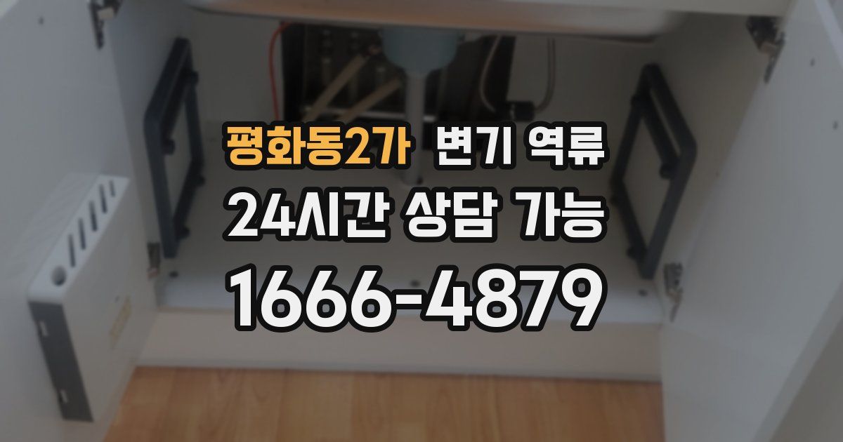 평화동2가 변기 역류