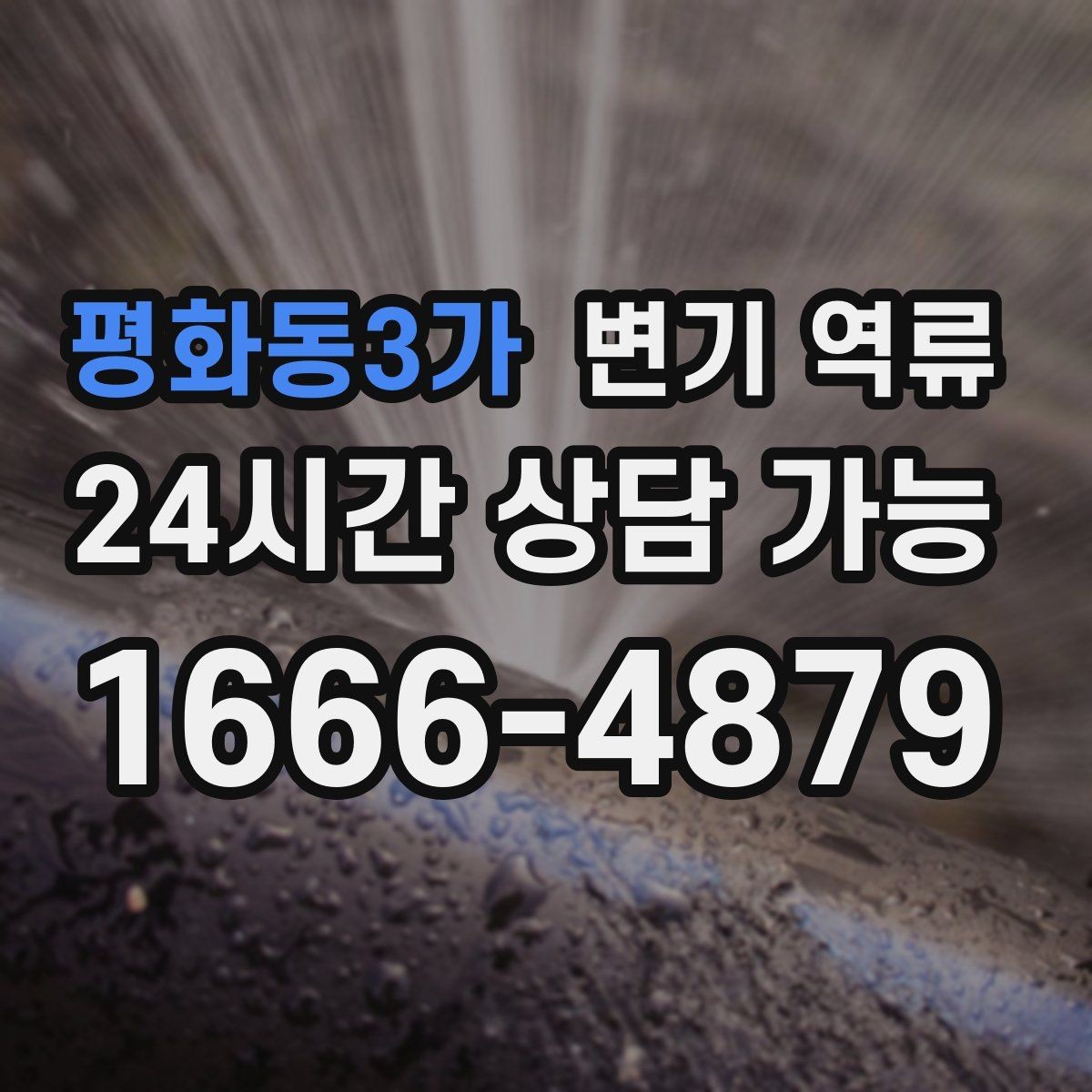 평화동3가 변기 역류 기름·세제가 배관에 남기 쉬운 이유