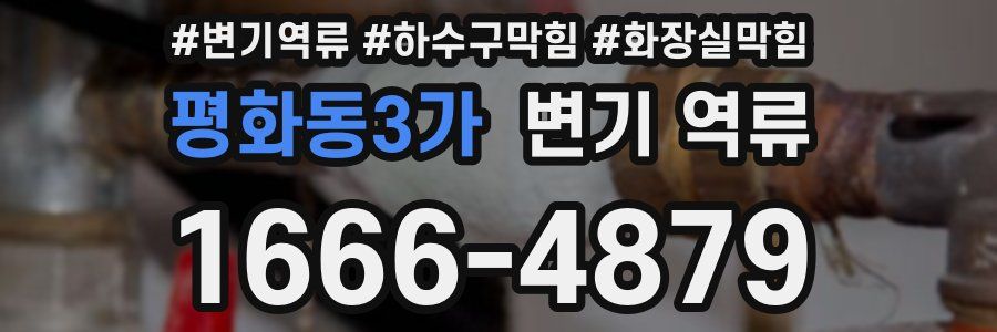 평화동3가 변기 역류