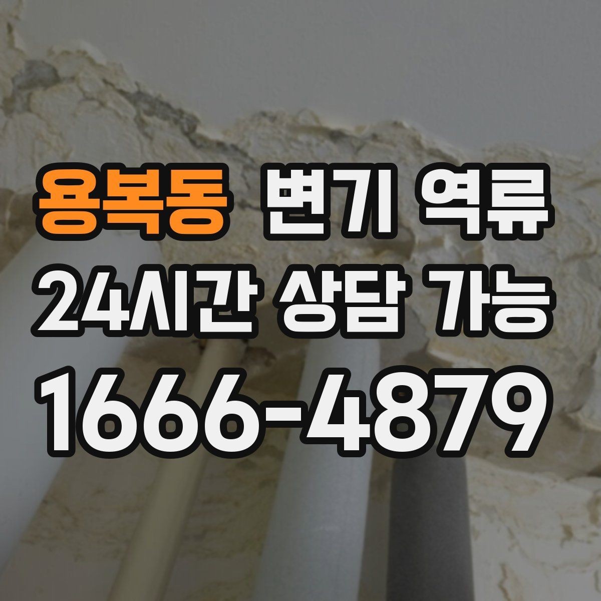 용복동 변기 역류 한 세대만 발생할 때 점검 순서
