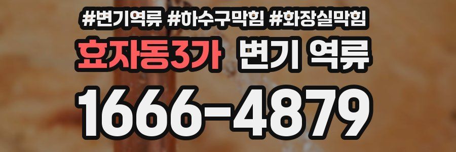 효자동3가 변기 역류