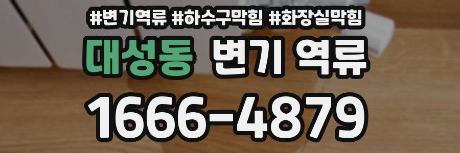 대성동 변기 역류