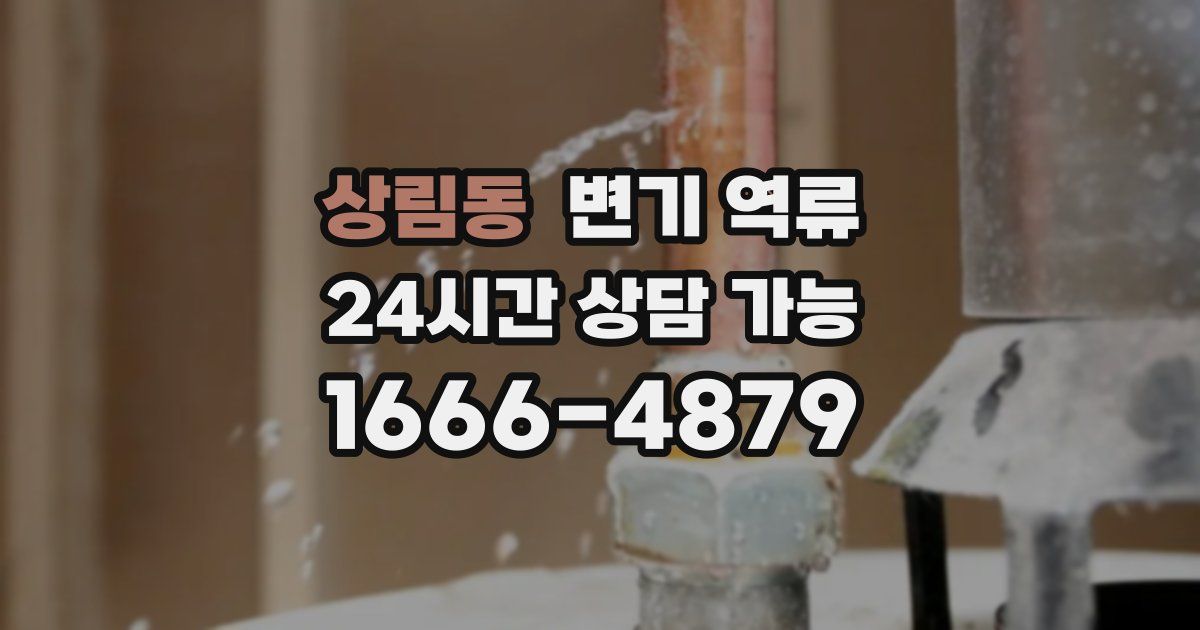 상림동 변기 역류