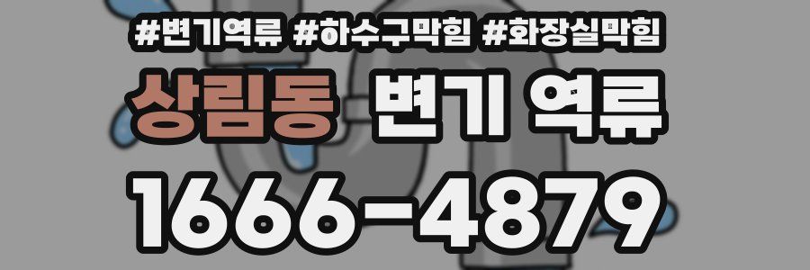 상림동 변기 역류