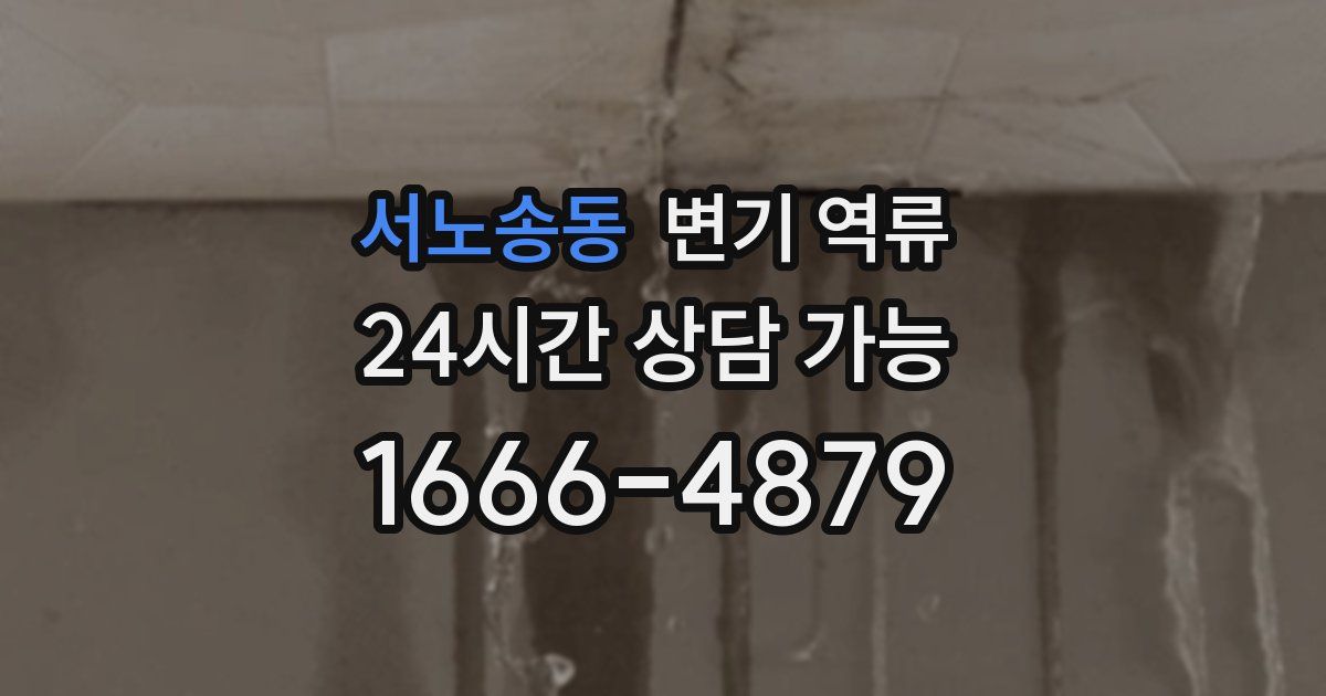 서노송동 변기 역류