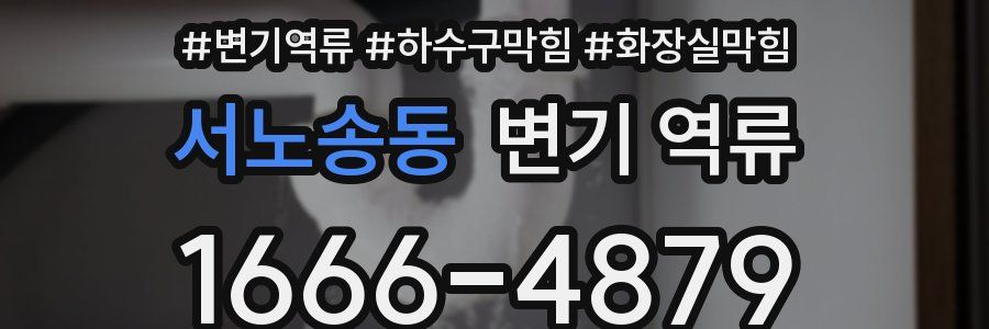 서노송동 변기 역류