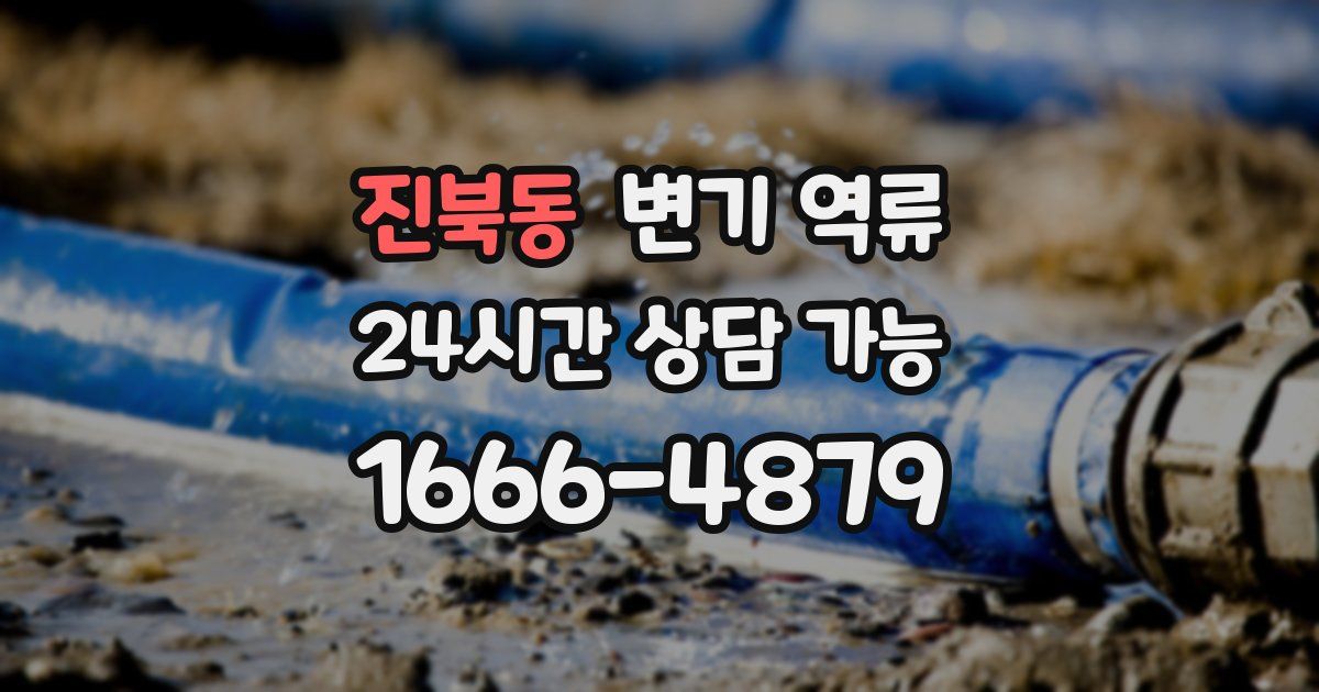 진북동 변기 역류