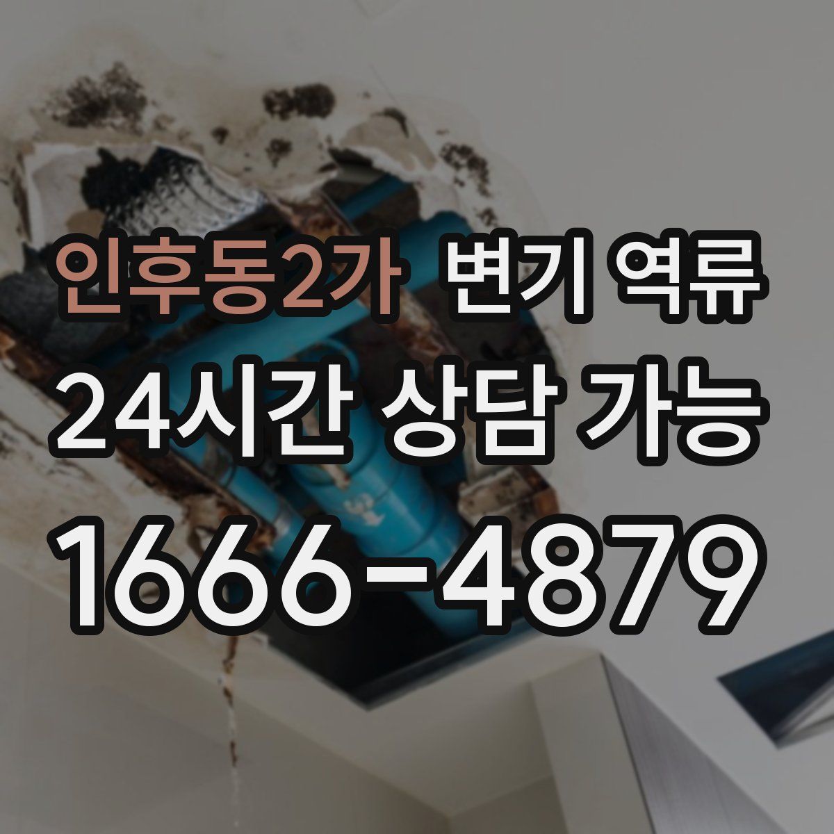 인후동2가 변기 역류