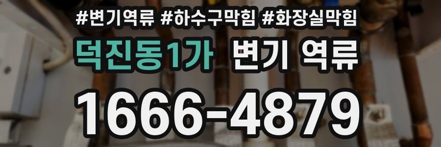 덕진동1가 변기 역류