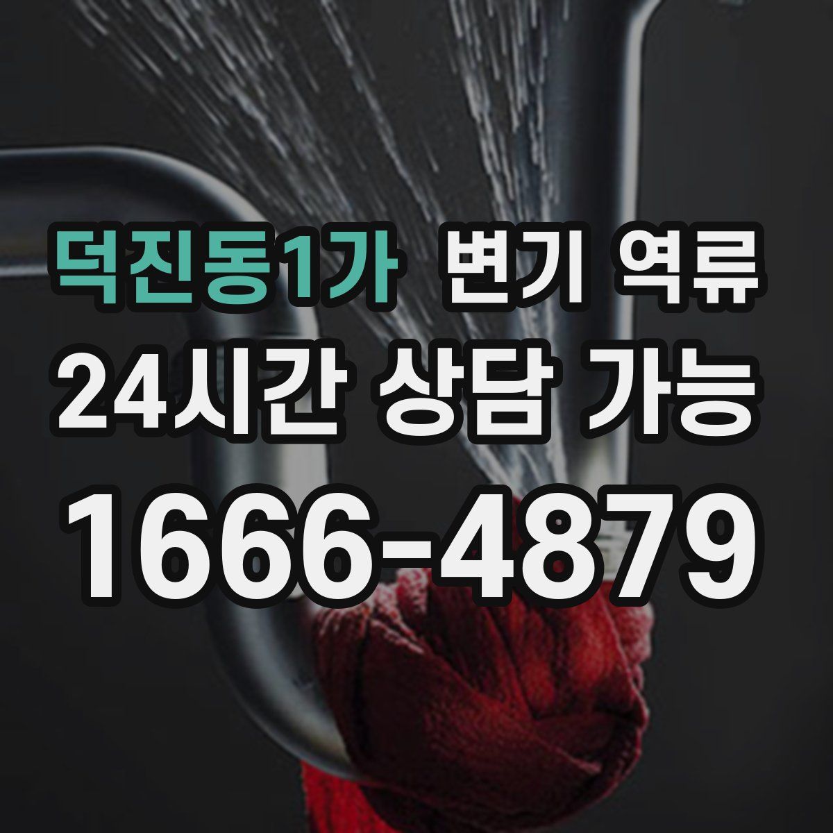 덕진동1가 변기 역류