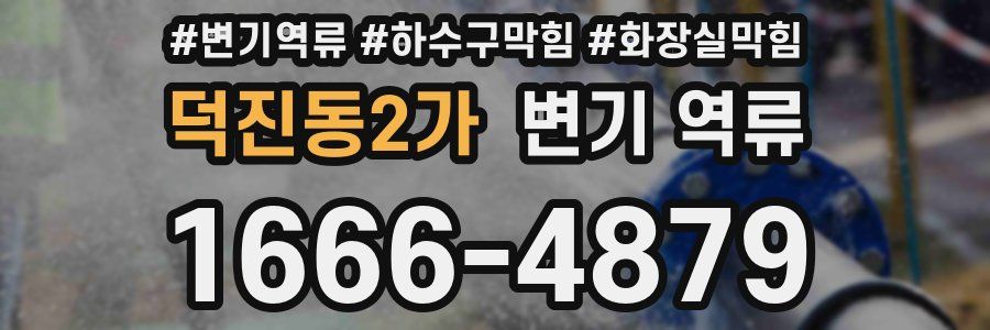 덕진동2가 변기 역류