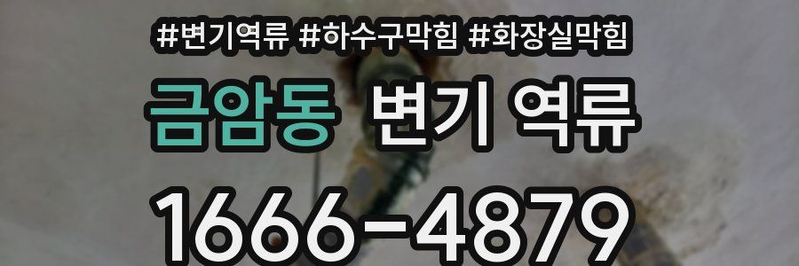 금암동 변기 역류