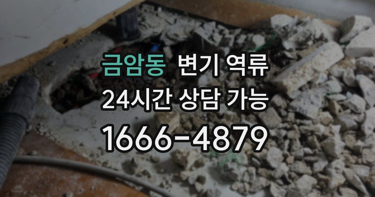 금암동 변기 역류