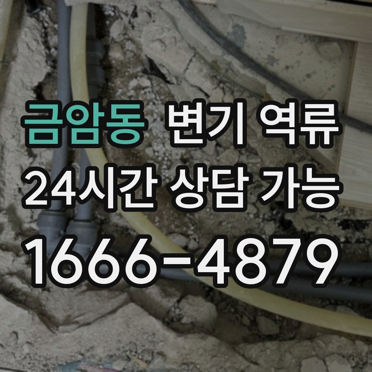 금암동 변기 역류