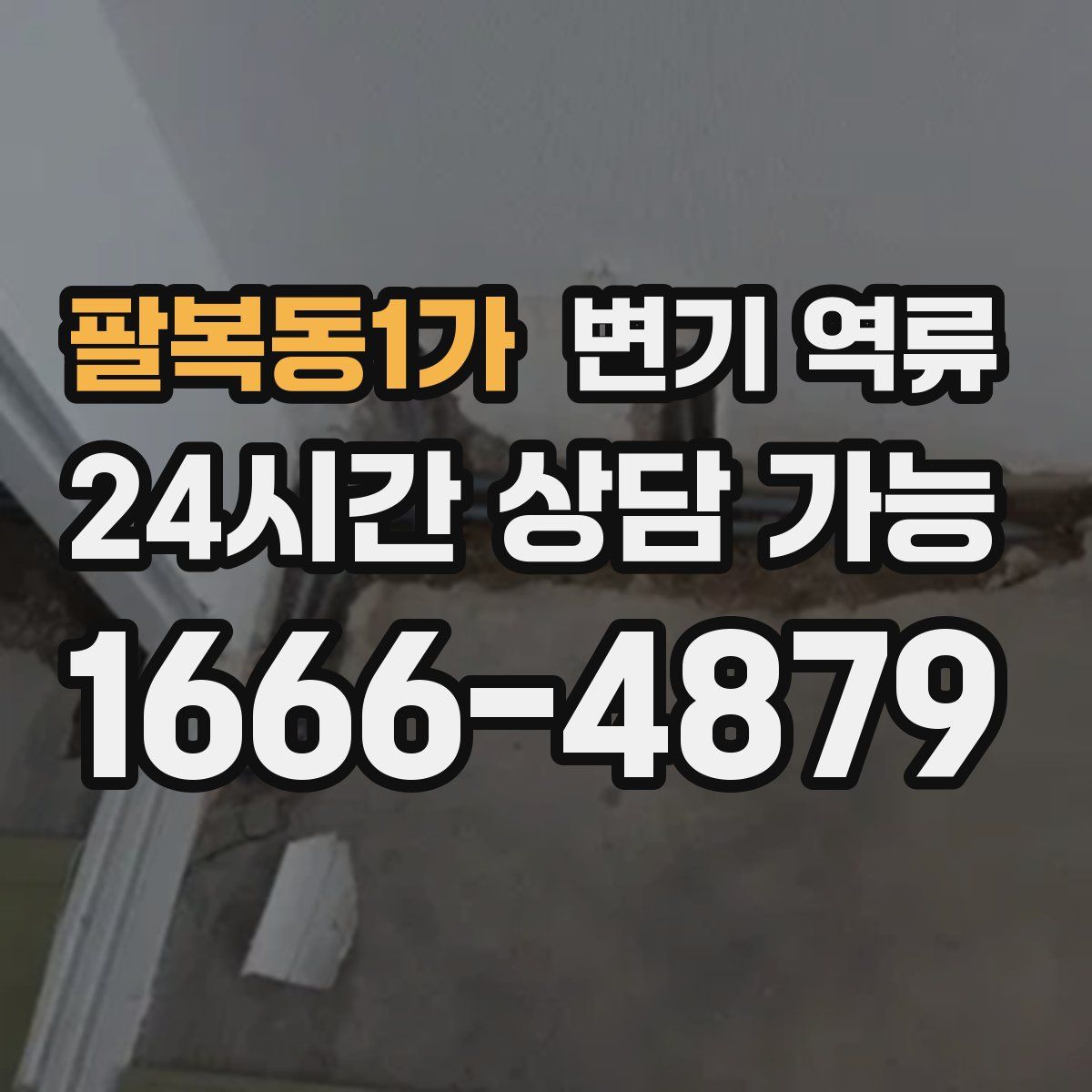 팔복동1가 변기 역류