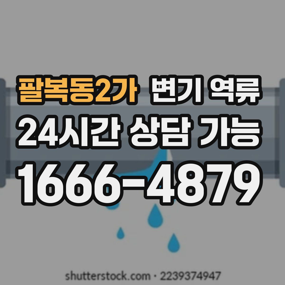 팔복동2가 변기 역류