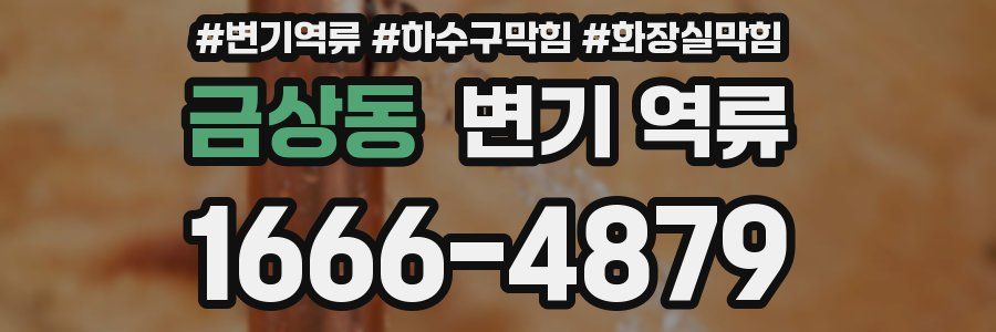 금상동 변기 역류