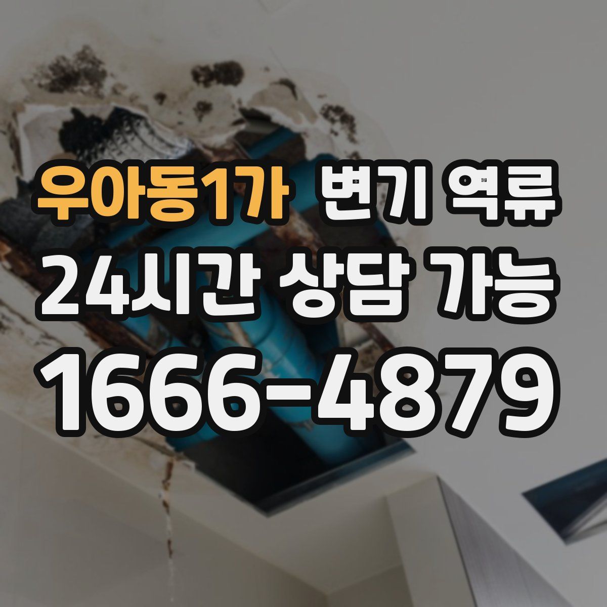 우아동1가 변기 역류