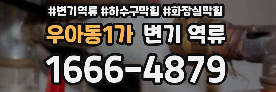 우아동1가 변기 역류