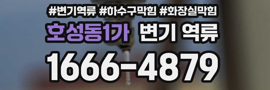 호성동1가 변기 역류