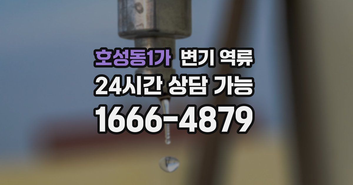 호성동1가 변기 역류